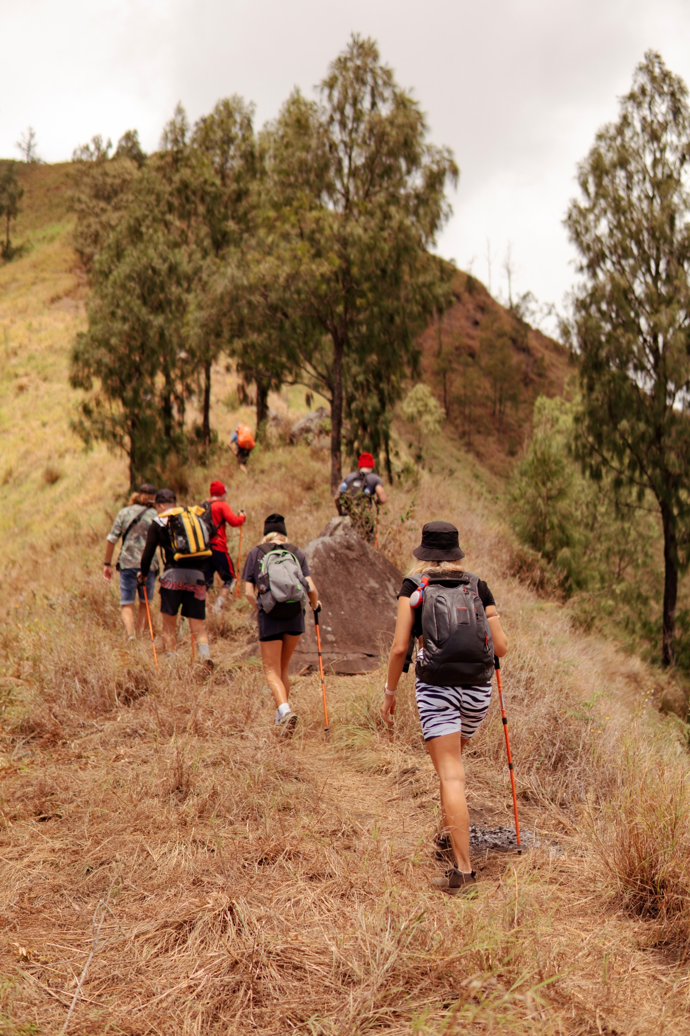 Grupo caminhando junto por uma trilha
